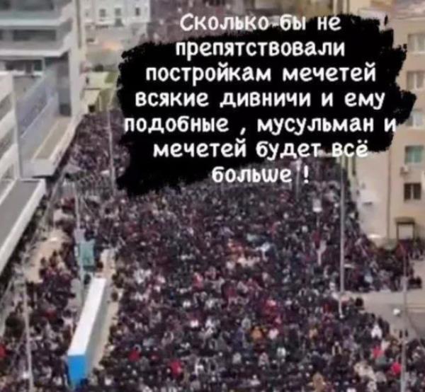 «Оскорбляют: „Ты нацист!“» Русские бойцы вышли на митинг из-за стройки мечети и получили ответ звезд ММА с Кавказа. Видео
