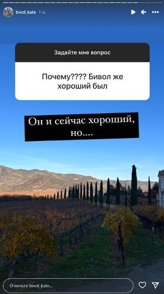 Дмитрий Бивол получил неоднозначную оценку от бывшей жены с казахстанскими корнями
