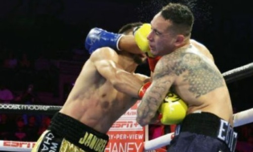 Бой Жанибека Алимханулы и «придурка» вызвал смех у эксперта