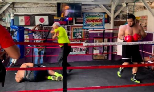 Видео нокаута за 30 секунд, или Как «Казахский титан» «пушкой» по печени выиграл бой по профи-боксу