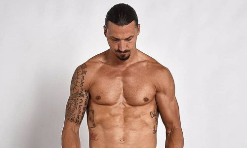 Златан Ибрагимович вышел в октагон с Хамзатом Чимаевым