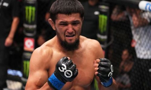Узбекистанского бойца встретили на родине после сенсационного нокаута в UFC. Видео