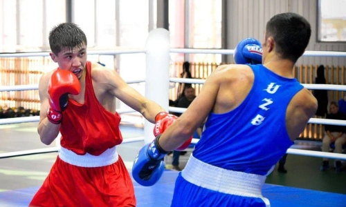 Костанай примет международный турнир по боксу