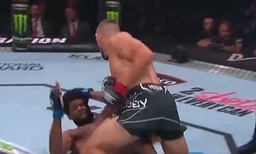 Бой UFC завершился безжалостным нокаутом в первом раунде. Видео