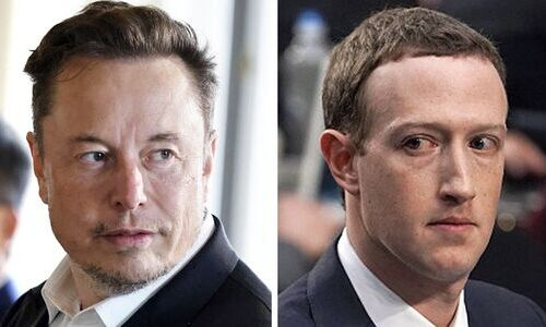 Дана Уайт сделал заявление о бое Маск — Цукерберг в Колизее