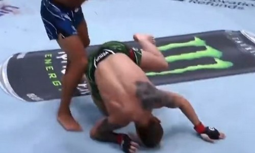 Бой UFC завершился брутальным нокаутом с одного удара. Видео