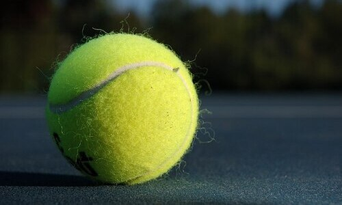 Французский теннисист получил пожизненную дисквалификацию