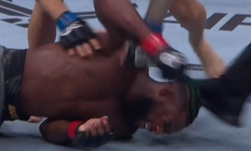 Видео полного боя Алджамейн Стерлинг — Шон О’Мэлли за титул чемпиона UFC c нокаутом и сенсацией