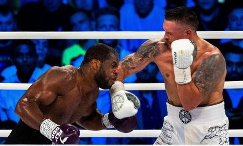 WBA вынесла свой вердикт по скандальному бою Александр Усик — Даниэль Дюбуа