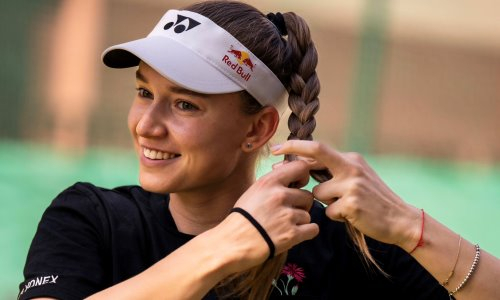 Забавный момент случился во время матча Рыбакиной на US Open. Видео