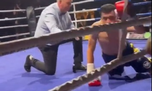 Непобежденный нокаутер заставил соперника ползать по рингу. Видео