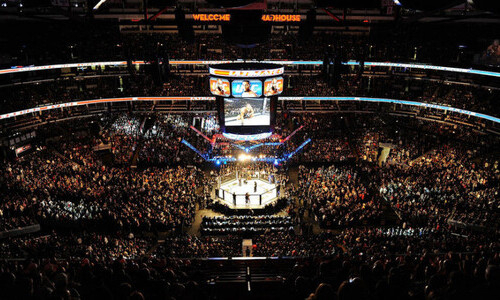 Названы лучшие бойцы Казахстана легчайшего веса