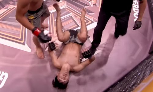 «Отключил соперника». Сокрушительным нокаутом обернулся бой Казахстан — Узбекистан. Видео