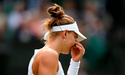 Соперница Рыбакиной по Уимблдону-2023 изрезала себе руки в отеле