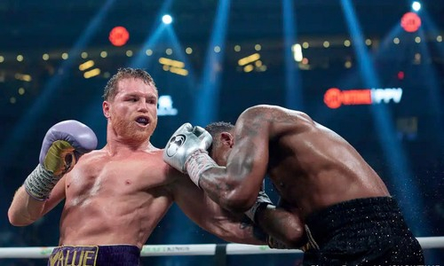 «Есть много дураков». «Канело» разоблачили после побед над Головкиным и Чарло