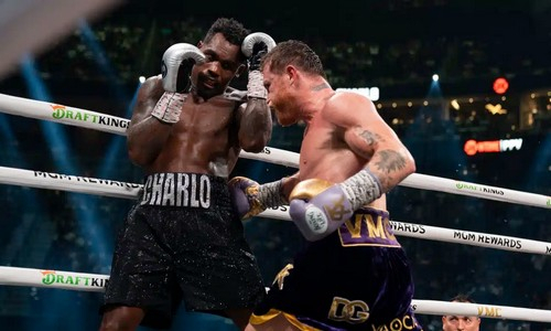 Озвучены цифры продаж платных трансляция боя «Канело» — Чарло за «абсолют»