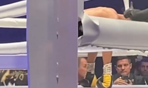 Видео нокаута в бою олимпийского чемпиона по боксу из России