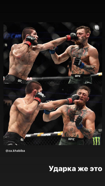 Хабиб Нурмагомедов потроллил Конора Макгрегора