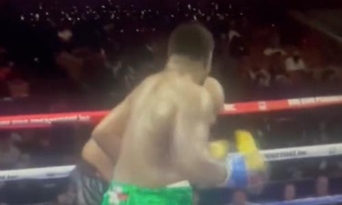 Жутким нокаутом закончился бой экс-чемпиона мира WBA. Видео