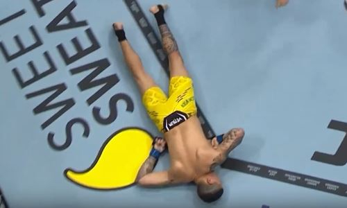 Глухой нокаут в первом раунде случился на турнире UFC. Видео