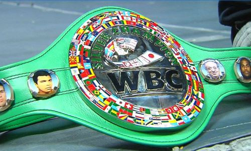 WBC объявил имя лучшего боксера 2023 года