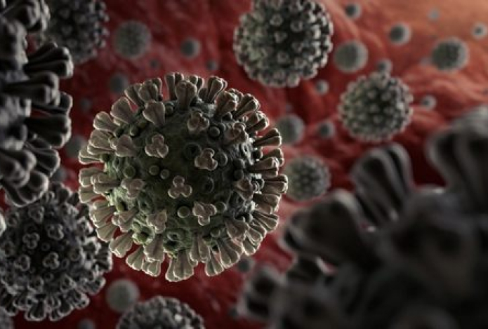 Китайские учёные назвали напиток, защищающий от коронавируса