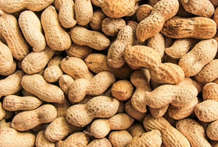 Малышева рассказала, в каких продуктах содержится «аминокислота счастья»