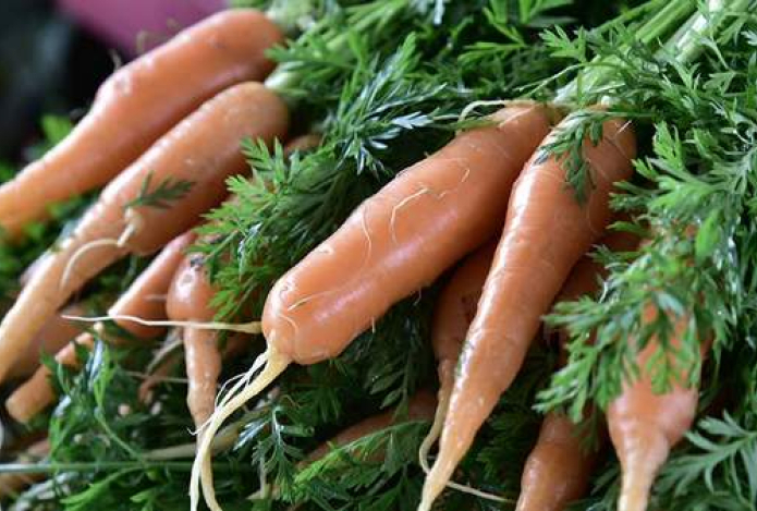 Биолог назвала продукты-чемпионы по борьбе с раком