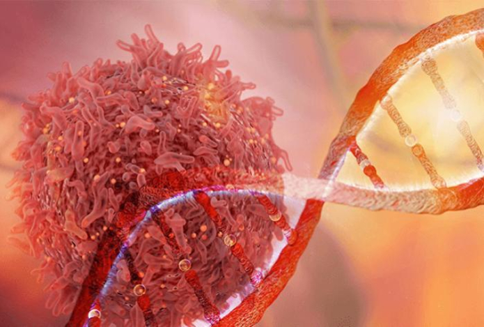 Ученые выяснили, у кого не бывает онкологии