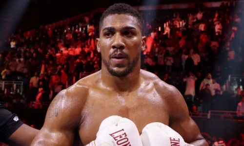 Названы гонорары Джошуа и Нганну за бой в Саудовской Аравии