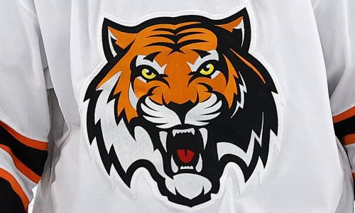 Сухой разгром обострил борьбу за плей-офф в конференции «Барыса» в КХЛ