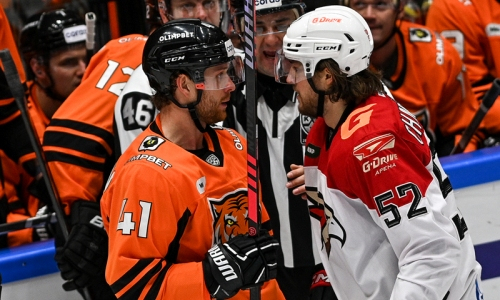 В Госдуме РФ отреагировали на скандал в матче соперников «Барыса» по КХЛ