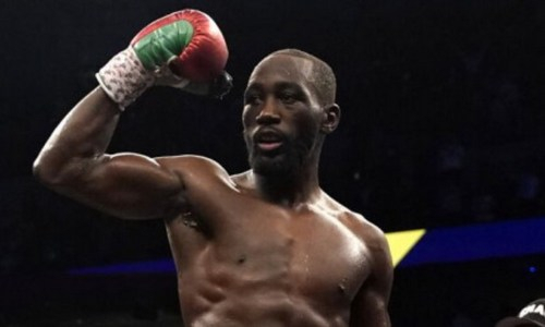 Стала известна позиция Теренса Кроуфорда по бою с Тимом Цзю