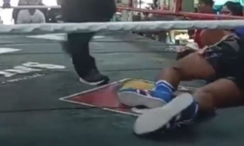 Непобежденного боксера брутально нокаутировали в первом раунде боя за титул в весе Алимханулы. Видео