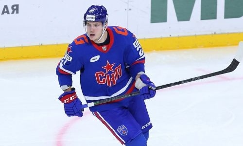 Избитый хоккеистом «Барыса» капитан СКА обратился к Владимиру Путину
