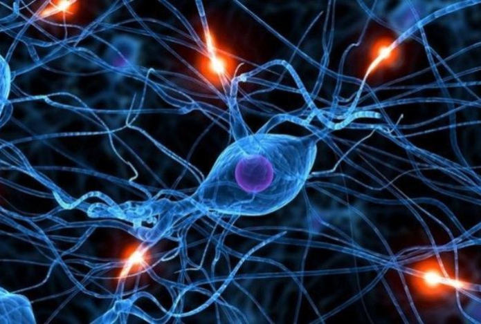 Пять продуктов, которые снимут воспаление в организме