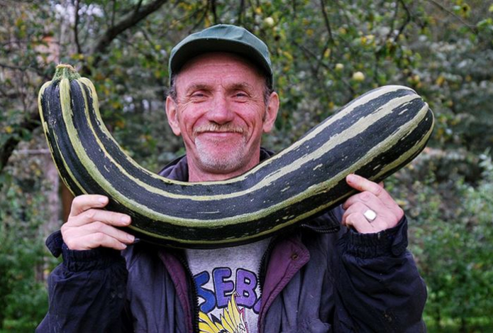 Назван обычный продукт, который заменит мужчинам виагру