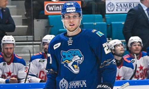 «Не тот результат, который мы хотели». Нельсон Ножье рассказал о поражении от СКА, неприятном тренде «Барыса» и цели на остаток сезона КХЛ