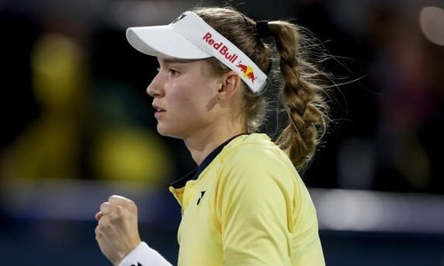 СМИ обезумели от игры Рыбакиной и сравнили ее с Федерером