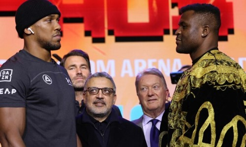 Фрэнсис Нганну назвал самого стойкого супертяжа