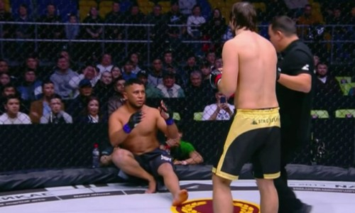 сильный боец. джон сент пьер. мэтт хьюз. огромный боец. брок леснар ufc.