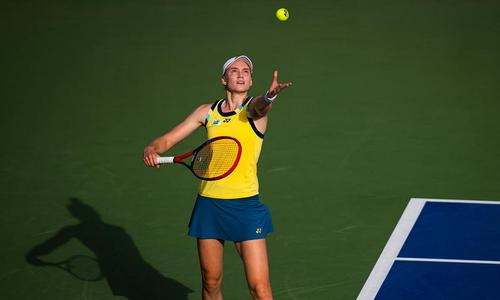 В США сделали заявление о возвращении Елены Рыбакиной