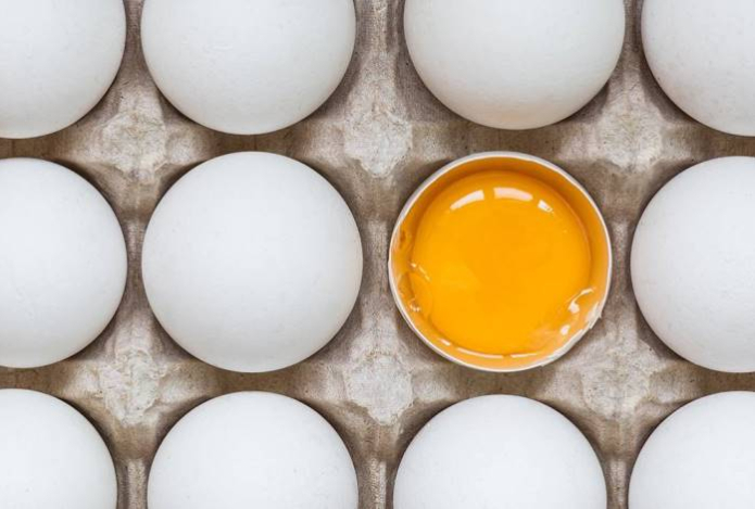 Врач рассказал, какие яйца самые полезные