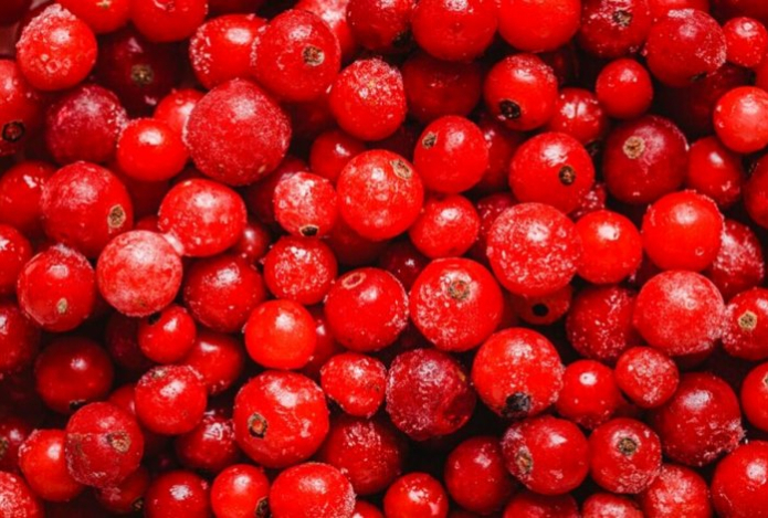 «Укрепляет сердце, снижает холестерин и защищает от простуды». Названа самая ценная ягода