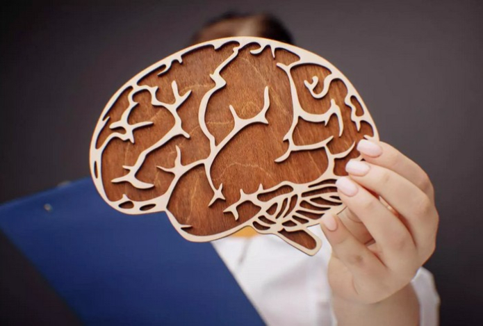 «Лекарство от забывчивости». Названы лучшие продукты для улучшения работы мозга