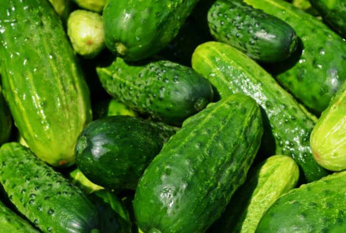 «Лучший овощ для пожилых». Улучшит работу кишечника и избавит от густой крови