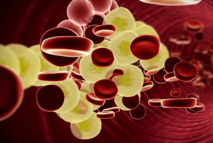 Диетолог назвала напиток, который поможет нормализовать уровень холестерина в крови