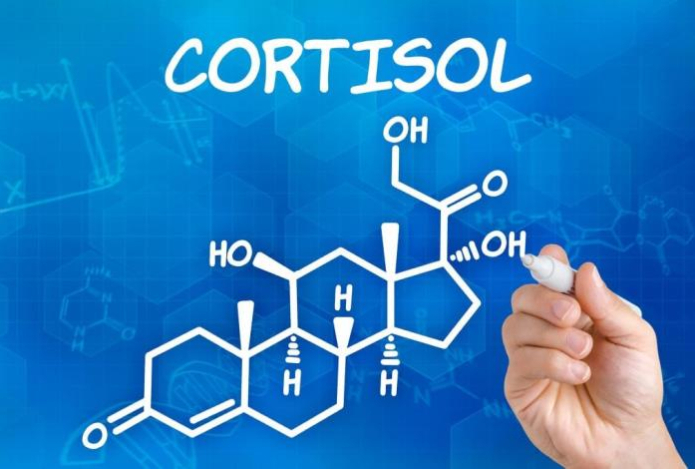 Эндокринолог рассказала, как «спрыгнуть с кортизоловой иглы»