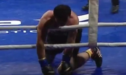 Видео боя Казахстан — Узбекистан с тремя нокдаунами в профи