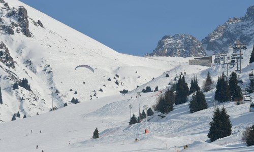 Алматы примет этапы Кубка мира по фристайлу-могул и фристайл-акробатике